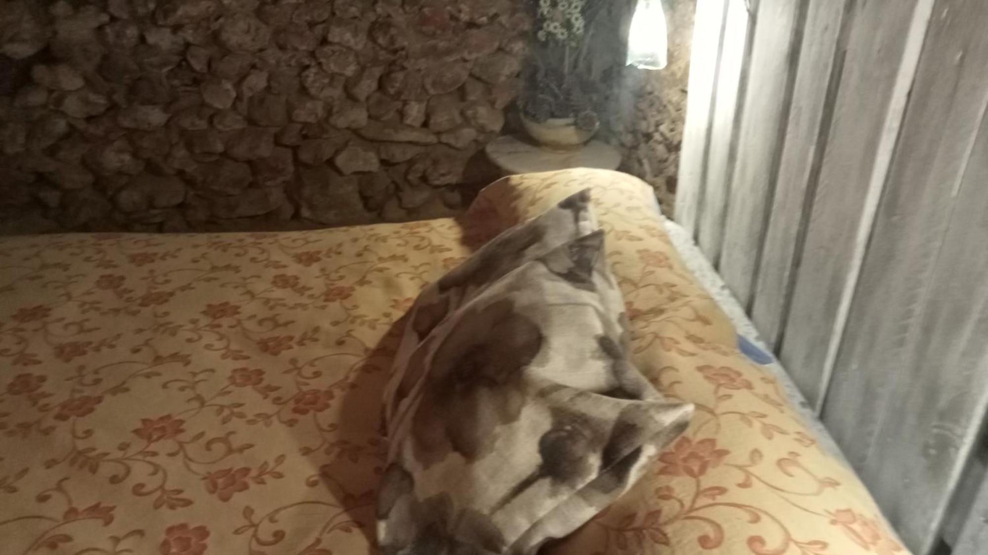 Habitacion En Ocana Zewnętrze zdjęcie